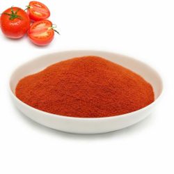 Bột Cà Chua Sấy Phun 1